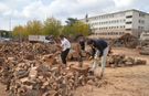 Şanlıurfa Siverek'te ailece odunculuk yapıyorlar