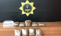 Urfa'da 4 kilo 400 gram skunk ele geçirildi