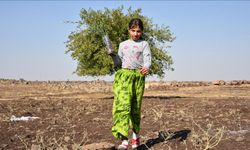 THY'den Şanlıurfa'ya 90 bin meyve fidanı