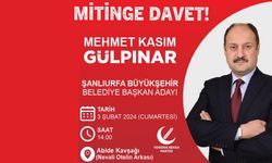 Gülpınar Urfa'da miting düzenleyecek