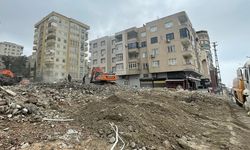 Urfa'da ağır hasarlı binaların yıkımı devam ediyor