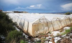 Alanya'da dolu seralara zarar verdi