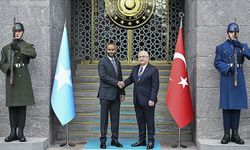 Bakan Güler, Somalili mevkidaşı Nur ile görüştü