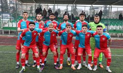 Viranşehir Belediyespor, Nizipspor’u 4-0 yendi