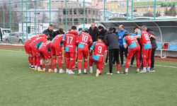 Viranşehir 3.lig hedefine bir adım daha yaklaştı