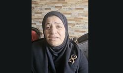 PKK/YPG tarafından çocuğu kaçırılan anne, evladına kavuşmak istiyor