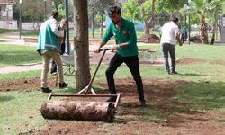 Haliliye’de parklar yaza hazırlanıyor