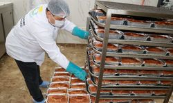 Haliliye’de, glutensiz ekmek üretimi sürüyor