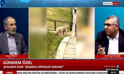 Av.Dr.Çelik: Acilen topyekûn mücadele başlatılmalı