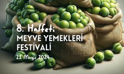 8. Halfeti Meyve Yemekleri Festivali, 21 Mayıs tarihinde gerçekleştirilecek