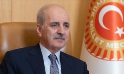 TBMM Başkanı Kurtulmuş,  İrlanda, İspanya ve Norveç hükümetlerini kutladı