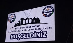 Şanlıurfa Kent Konseyi seçimleri mahkemelik oldu