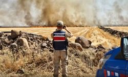 Viranşehir'de anız yangınlarına ceza