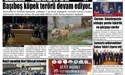 Şanlıurfa'da korkulan oldu! Kuduz köpekler 3 ayrı yerde saldırdı, 6 kişi yaralandı, 2 Mahalle karantinada!