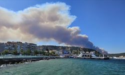 Çanakkale'deki orman yangın: Boğaz trafiği tek yönlü askıya alındı!