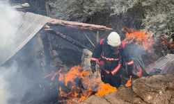 Malatya'da 600 dönümlük anız arazisi yandı, bir inek telef oldu