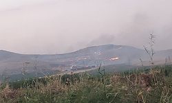 Haliliye Örencik kırsalındaki dev yangın söndürüldü!