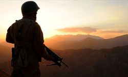 Irak ve Suriye'de 15 PKK'lı terörist etkisiz hale getirildi