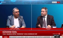 Dr.Av.Çelik: Başıboş sokak köpekleri şehirlerin ortak temel sorunu!