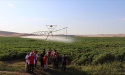 Şanlıurfa'daki üreticiler, anlık reçeteyle tarladaki sorunu çözüyor