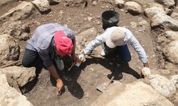 Mardin'deki höyükte Neolitik Çağ'a geçişin izlerini taşıyan bulgular tespit edildi