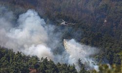 Son 4 günde orman ve kırsal alanda meydana gelen 306 yangına müdahale edildi, 304 yangın söndürüldü