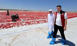 Aksoy: Yılda 3 ürün elde edecek şekilde üretime devam edin