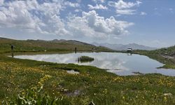 Şırnak'taki göller turizme kazandırılmayı bekliyor