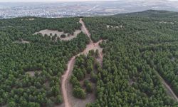 Çiftçi: Gölpınar Tabiat Parkı yeni cazibe merkezi olacak