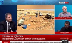 Prof.Dr.Baird: Mendiktepe; Göbeklitepe ve Karahantepe’den daha eski!