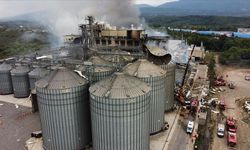 Sakarya'da makarna fabrikasındaki patlamada 28 kişi yaralandı