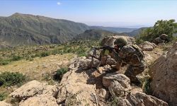 8 PKK/YPG'li terörist etkisiz hale getirildi