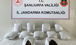 Jandarmadan zehir tacirlerine operasyon