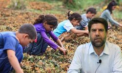 Coşkun: Mevsimlik tarım işçisi öğrenciler, bu sistemle sınıfta kalıyor