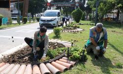 Haliliye’de parklar yaşam alanlarına dönüşüyor