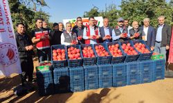 Urfa narında 10 bin ton rekolte bekleniyor!