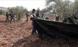 İsrailliler, Nablus'ta zeytin toplayan Filistinli çiftçilere saldırdı