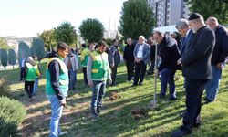 Karaköprü’de ağaçlandırma kampanyası sürüyor