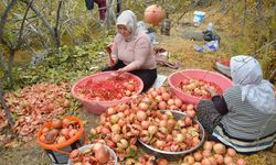 Şanlıurfa'nın meşhur Siverek - Katine/Divan narının tatlısı yeniyor, ekşisi Nar Ekşisine dönüşüyor