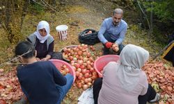 Divan Köyü'nde nar ekşisinin geleneksel sırrı