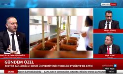 Prof.Dr. Güllüoğlu: Siverek il olursa, üniversite için hazırlıklar tamam!