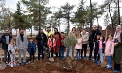 Siverek'te öğrencilerden anlamlı etkinlik: Siverek Kalesi'nde ağaç dikimi