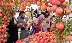 Halepçe'de Nar Festivali başladı