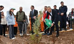 Başkan Vekili Bayram Milli Ağaçlandırma Günü’nde fidan dikti