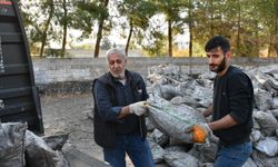 Siverek Belediyesi’nden 500 aileye kömür yardımı