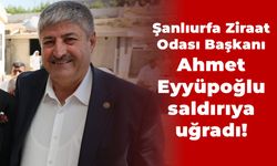 Şanlıurfa Ziraat Odası Başkanı Ahmet Eyyüpoğlu saldırıya uğradı!