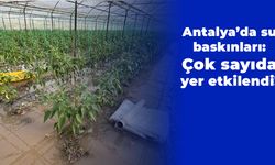 Antalya’da su baskınları: Çok sayıda yer etkilendi!