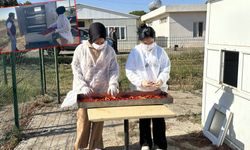 Şanlıurfa'da güneş enerjisiyle biber kurutmada devrim!