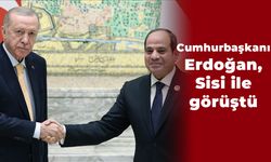 Cumhurbaşkanı Erdoğan, Sisi ile görüştü