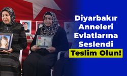 Diyarbakır Anneleri Evlatlarına Seslendi: Teslim Olun!